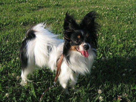 IMG_36691.jpg